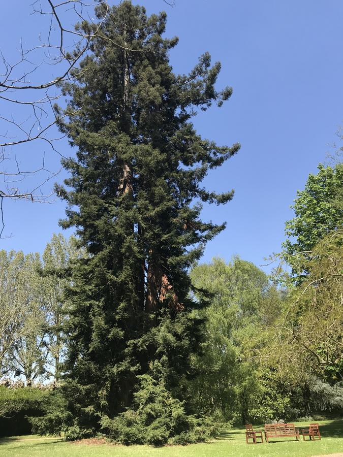 Chambre D'Hote Manoir De Clairbois Larcay Zewnętrze zdjęcie