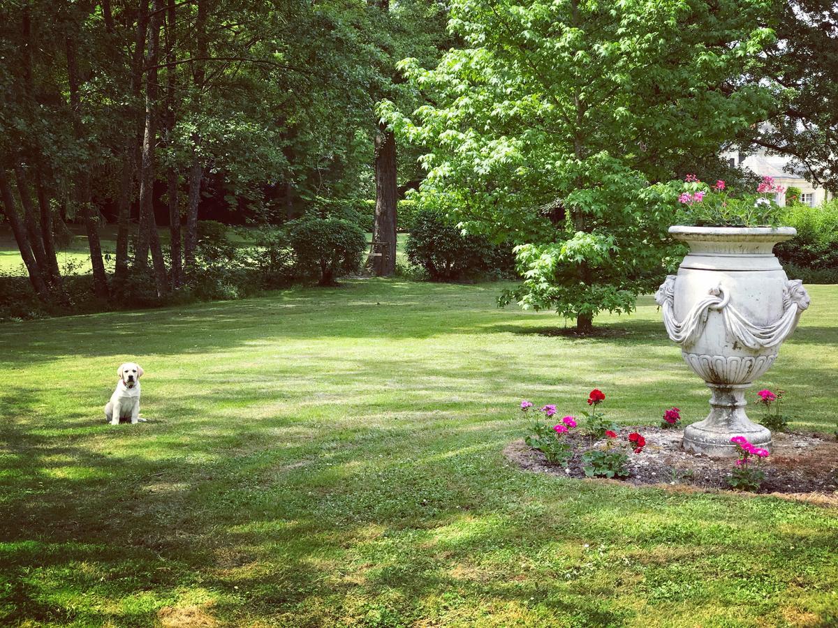 Chambre D'Hote Manoir De Clairbois Larcay Zewnętrze zdjęcie